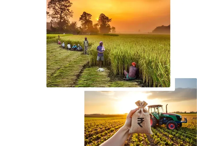 Bancofed Gold Loans | Small Business Financing In Kerala Affordable Agriculture Loans in Kerala | Farm Equipment Finance | Bancofed