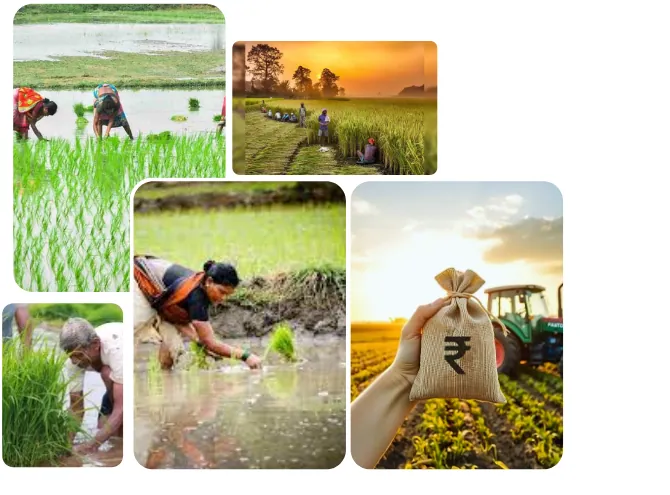 Bancofed Gold Loans | Small Business Financing In Kerala Affordable Agriculture Loans in Kerala | Farm Equipment Finance | Bancofed